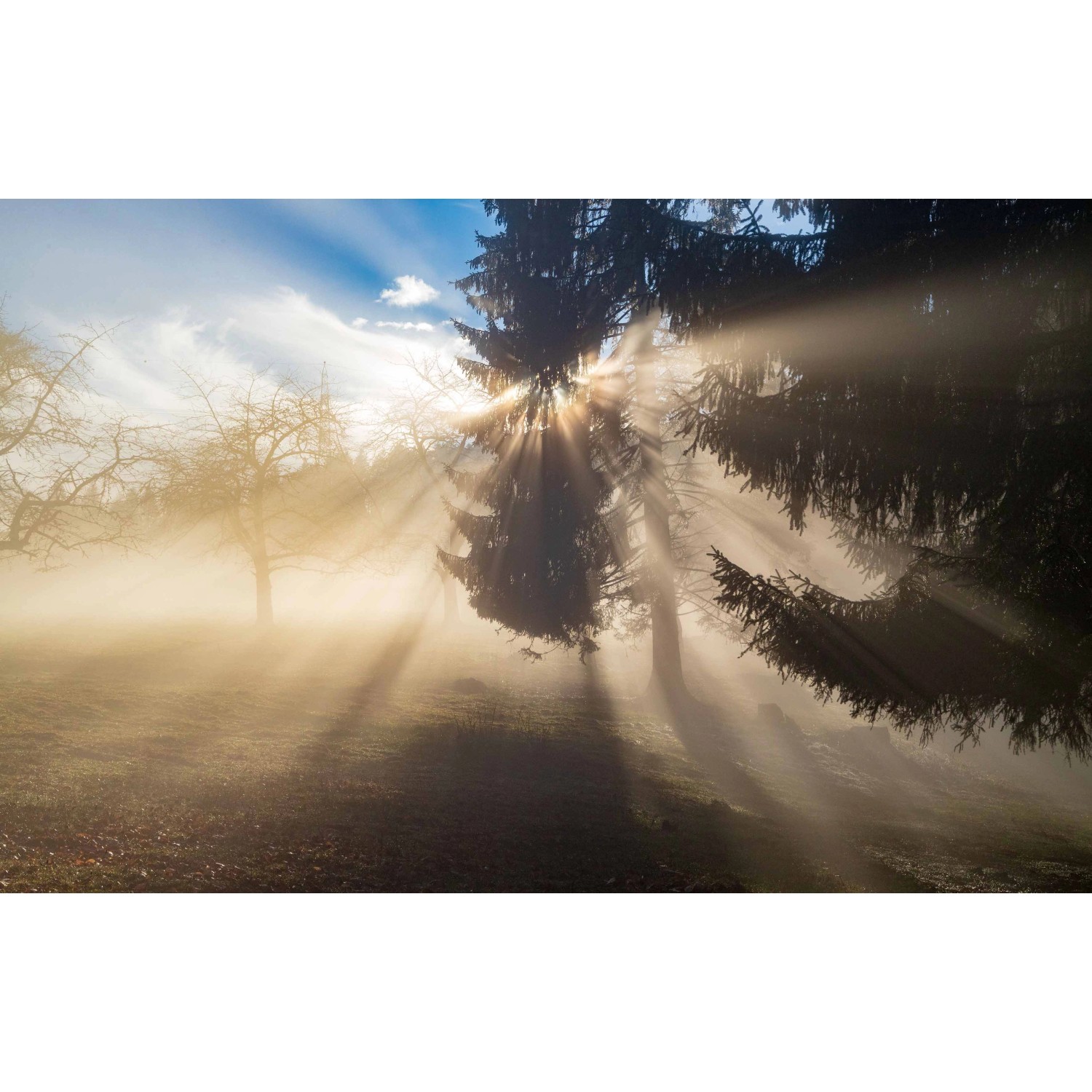 Bondecor Obraz, tištěné plátno Západ slunce 70 x 110 cm