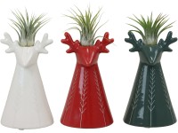 Aranžmá tilandsie v keram. květináči v podobě soba, různé druhy, pr. kv. 6 cm