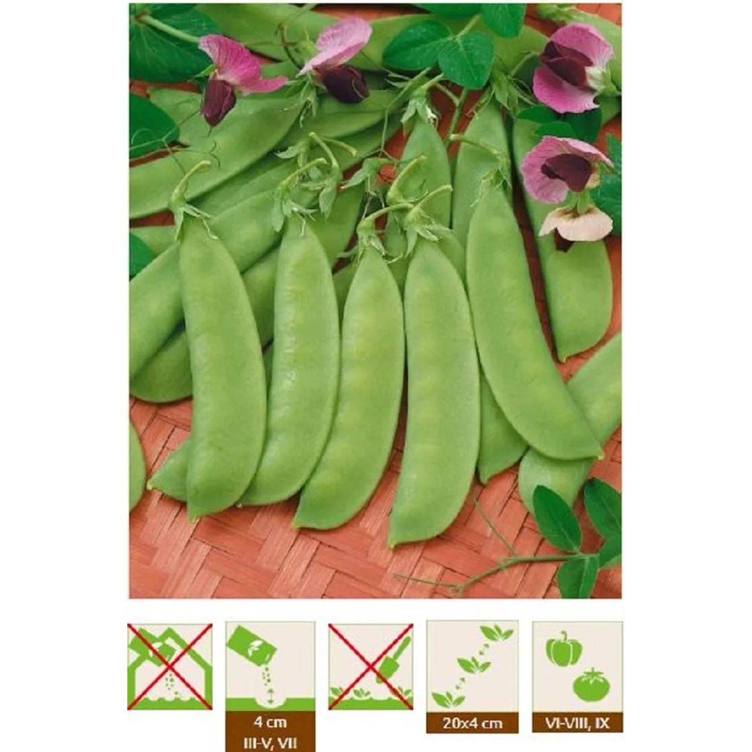 GardenSeed Premium Semínka Hrách cukrový Ambrosia, 40 g