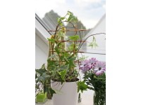 OBI Mřížka na květiny 77 cm béžová, 2 ks