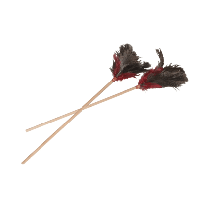 Olala Pets Mávátko dřevěné barevné 55 cm