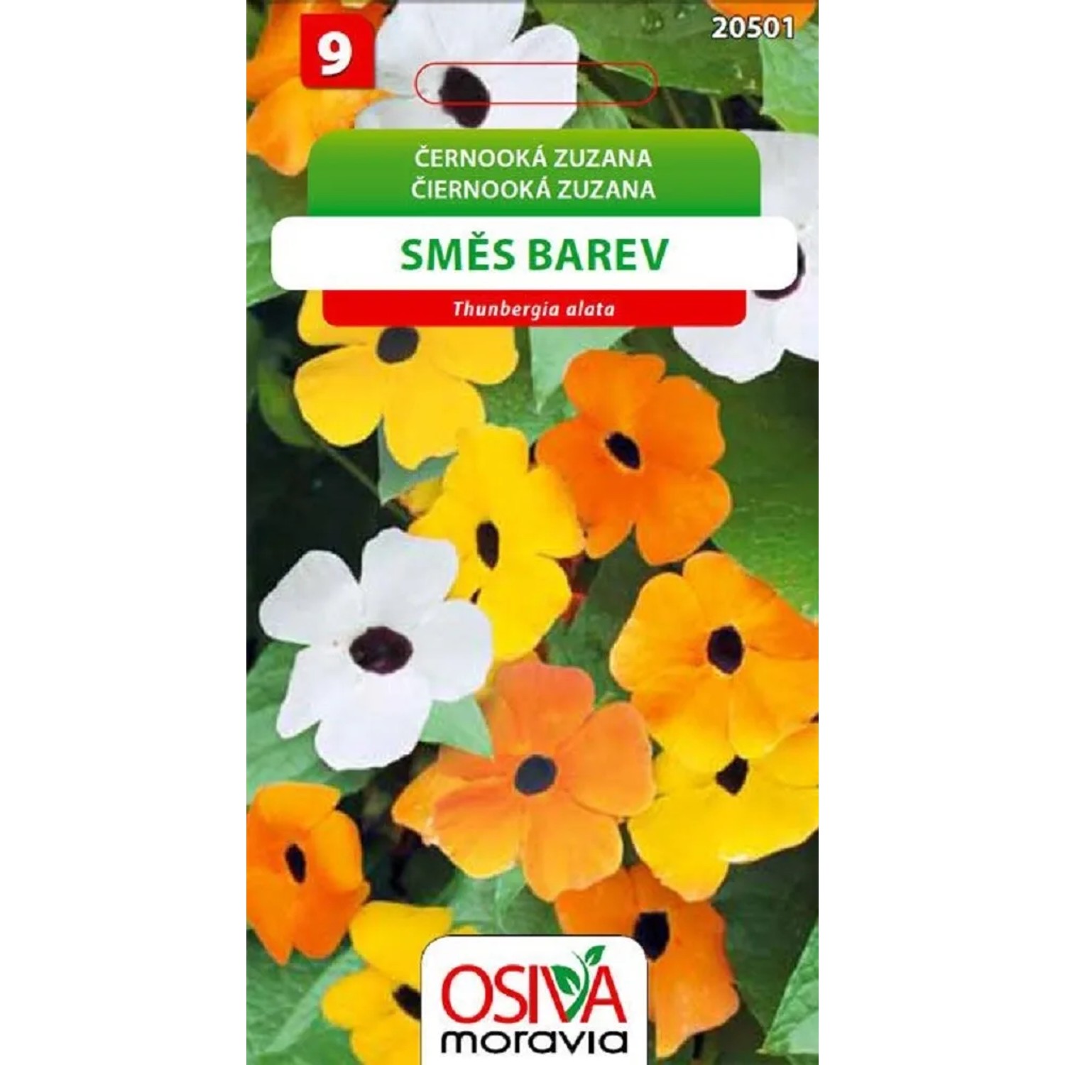 Semienka Černooká Zuzana, směs fareb