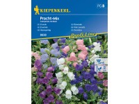 Kiepenkerl Semínka Zvonek Pracht mix Kiepenkerl Semínka Zvonek Pracht mix