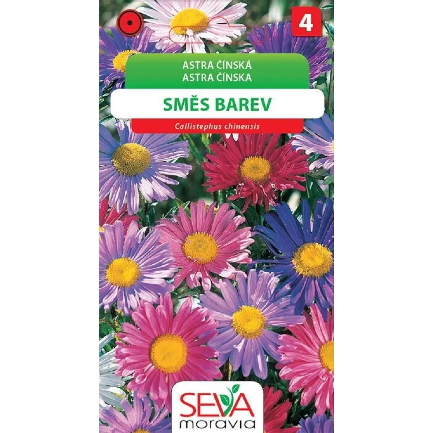 Semínka Astra Čínská - Andrella - směs (Callistephus chinensis)