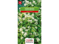 Semienka Česnek medvědí Semienka Česnek medvědí