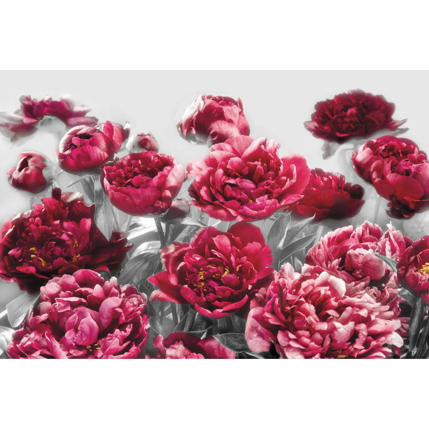 Komar Vliesová fototapeta Temptation 400 x 260 cm