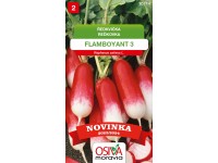 Aros Semena Ředkvička Flamboyant (Raphanus sativus) Aros Semena Ředkvička Flamboyant (Raphanus sativus)