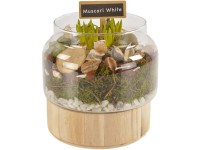 Jarní aranžmá s modřenci bílé ve skleněné nádobě průměr květináče cca 17 cm