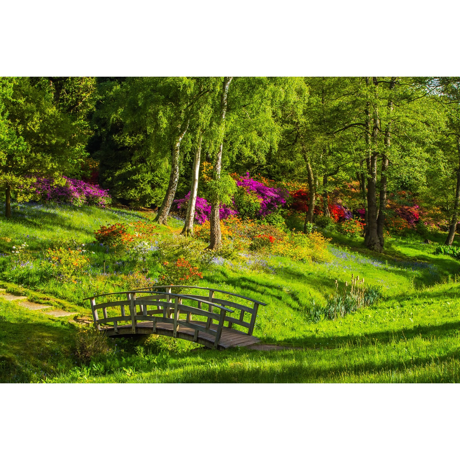 Bondecor Obraz, tištěné plátno Flora 70 x 110 cm