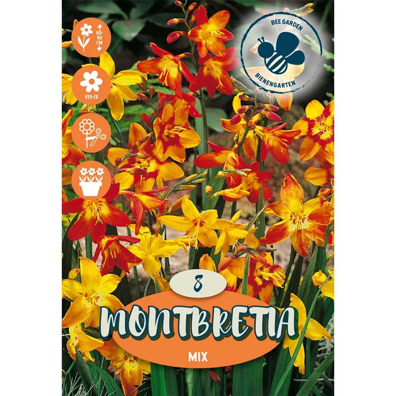 Směs Monbretia mix 8 ks