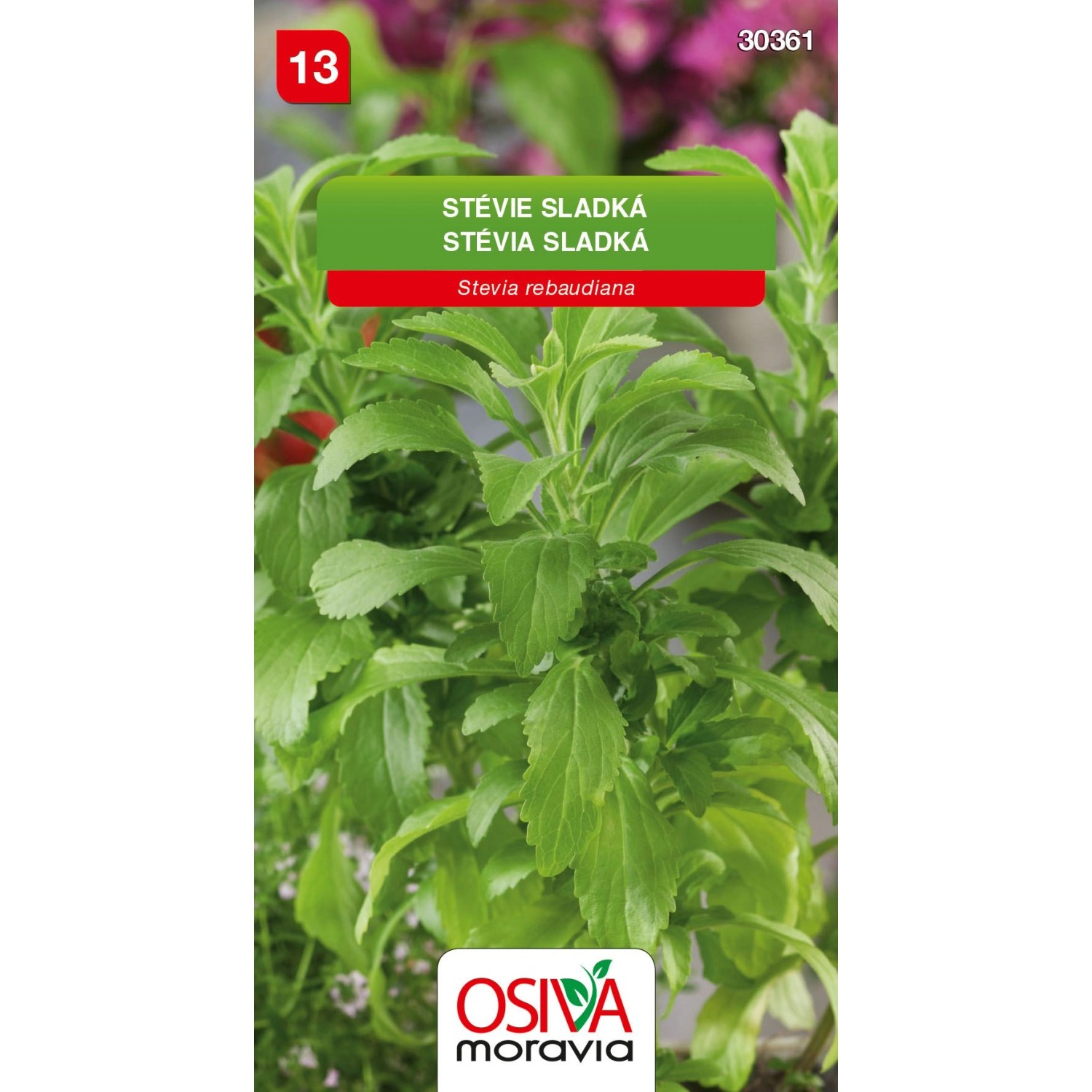 Semínka Stévie sladká (Stevia rebaudiana)