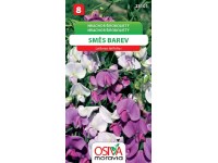 Semínka Hrachor širokolistý  směs barev (Lathyrus latifolius)