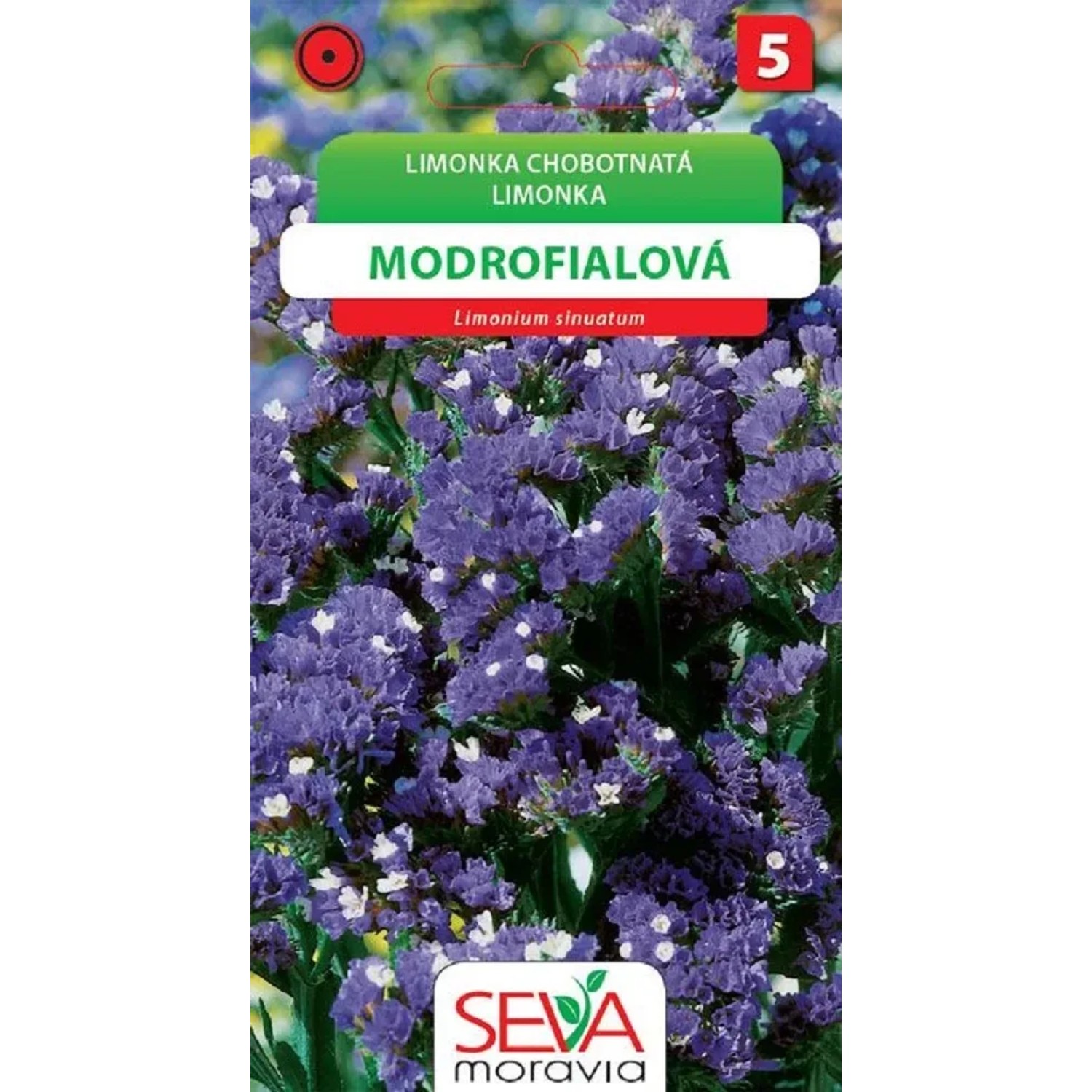 Semínka Limonka Chobotnatá - modrofialová (Limonium sinuatum)