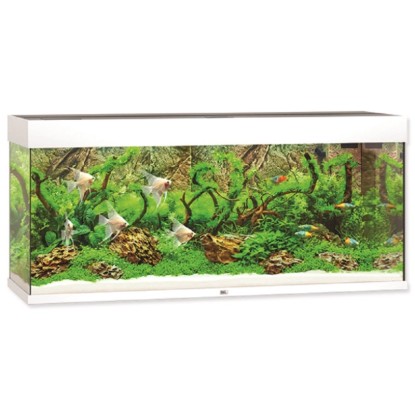 Juwel Aquarium Akvarijní set Rio LED, bílý, 240 l, 121 x 41 x 55 cm