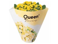 GROW by OBI Kolopejka vděčná (Kalanchoe) dvoukvětá žlutá, 20-25 cm, pr. 105 cm