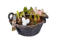 Jarní květinové aranžmá v šedém košíku, pr. kv. cca 24 cm