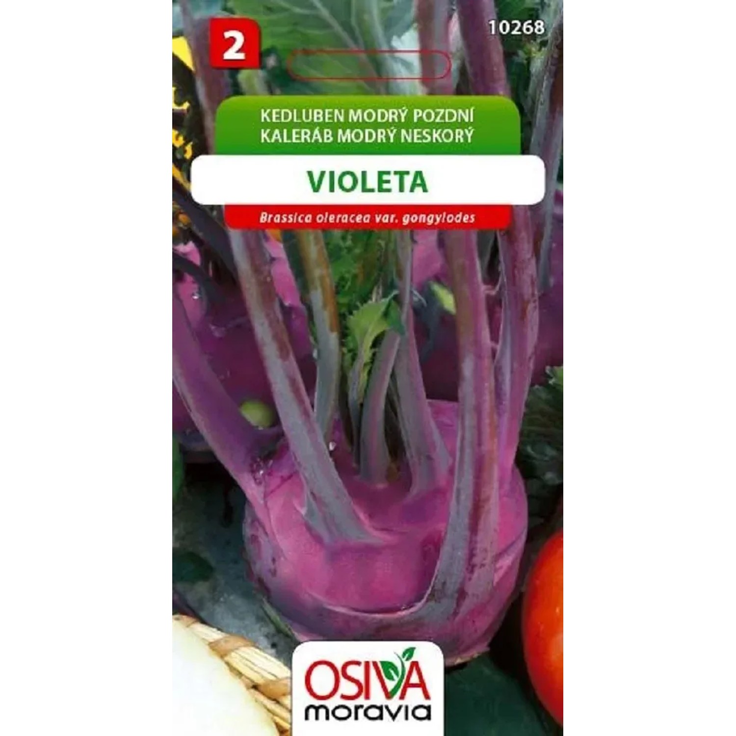 Semínka Kedluben modrý pozdní Violeta (Brassica oleracea var. gongylodes)