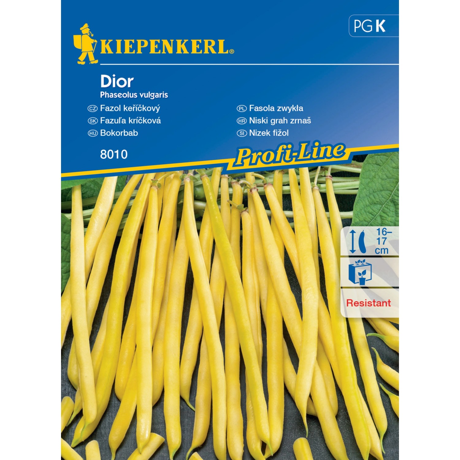 Kiepenkerl Semínka Fazol keříčkový Dior