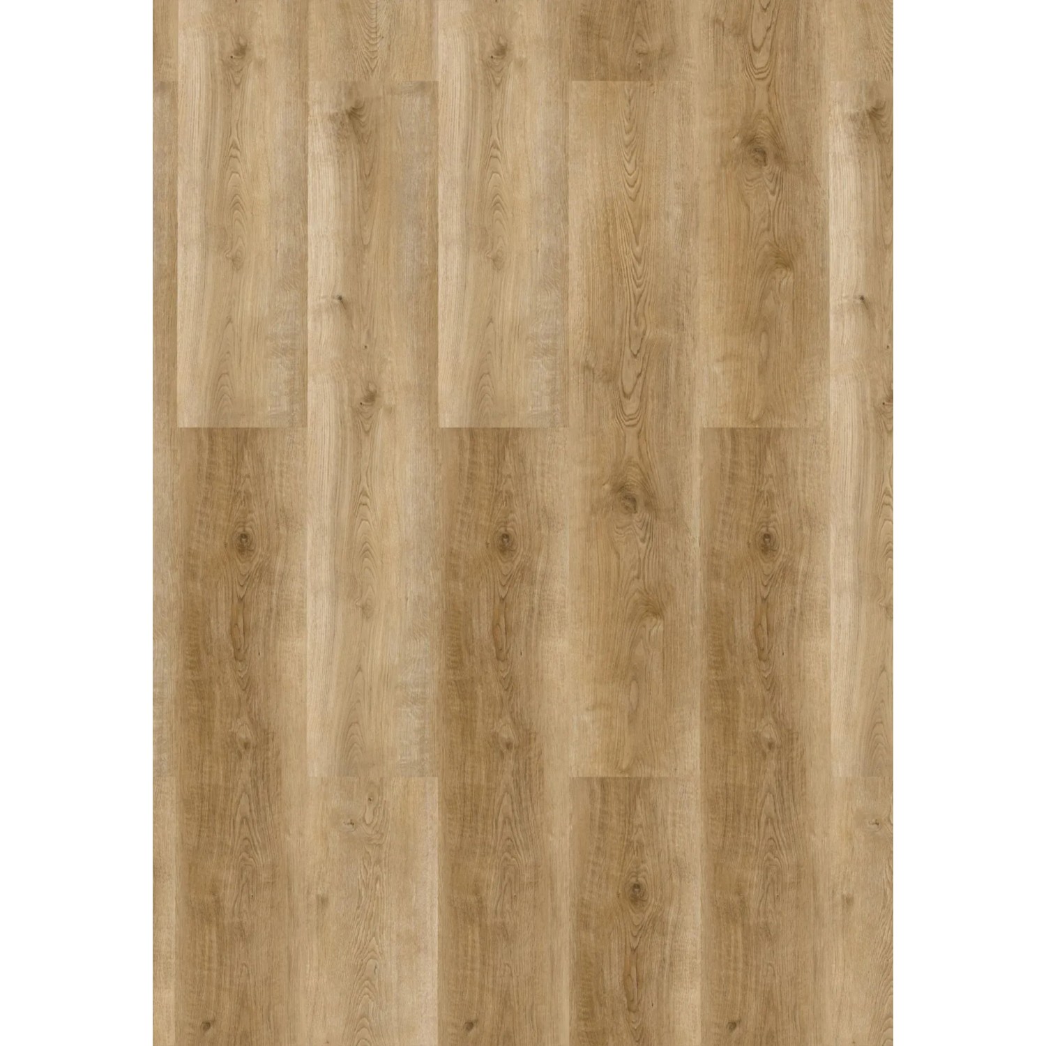 Levně Check ONE Vinylová podlaha Basic Wide 2460 dub Griesheim 1220 x 228 x 4,5 mm