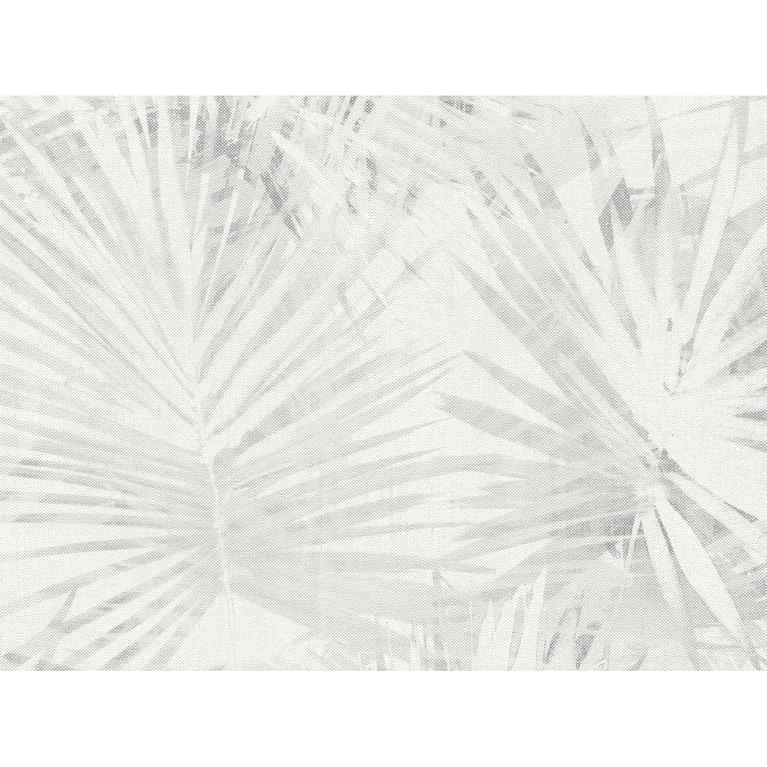 A. S. Creation Vliesová tapeta Attractive Palmový list šedobílý