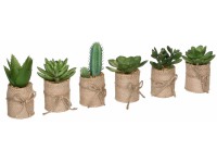 Mica Decorations Umělá rostlina výběr sukulentů v květin., zelená, pr. 5 x 12 cm