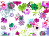 Komar Papírová fototapeta Fleur de Paris 368 x 254 cm 8 dílná Komar Papírová fototapeta Fleur de Paris 368 x 254 cm 8 dílná