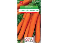 Semínka Mrkev obecná Stupická k rychlení (Daucus carota)