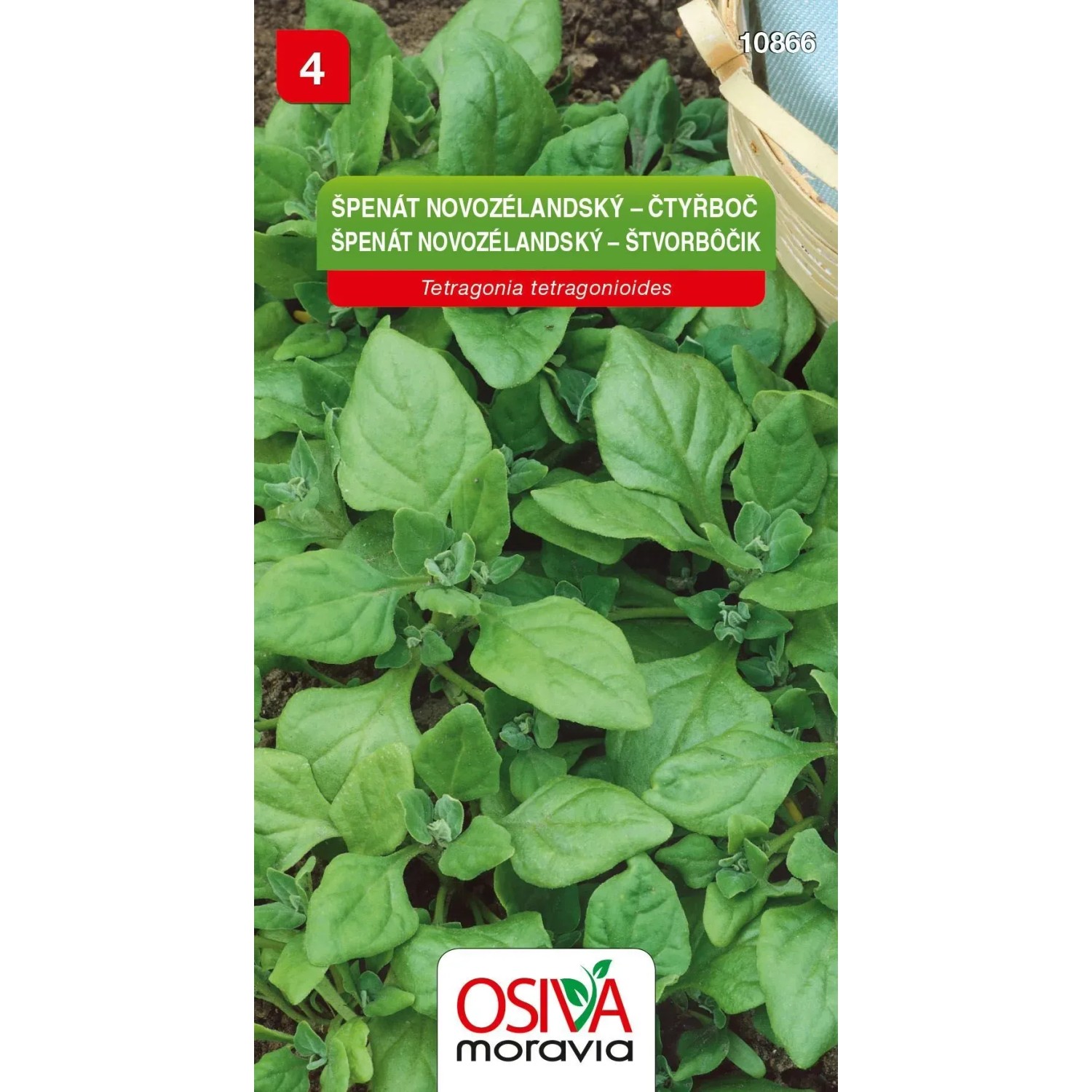 Špenát Novozélandský (Tetragonia tetragonioides)