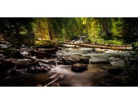 Bondecor Obraz, tištěné plátno Příroda 50 x 100 cm