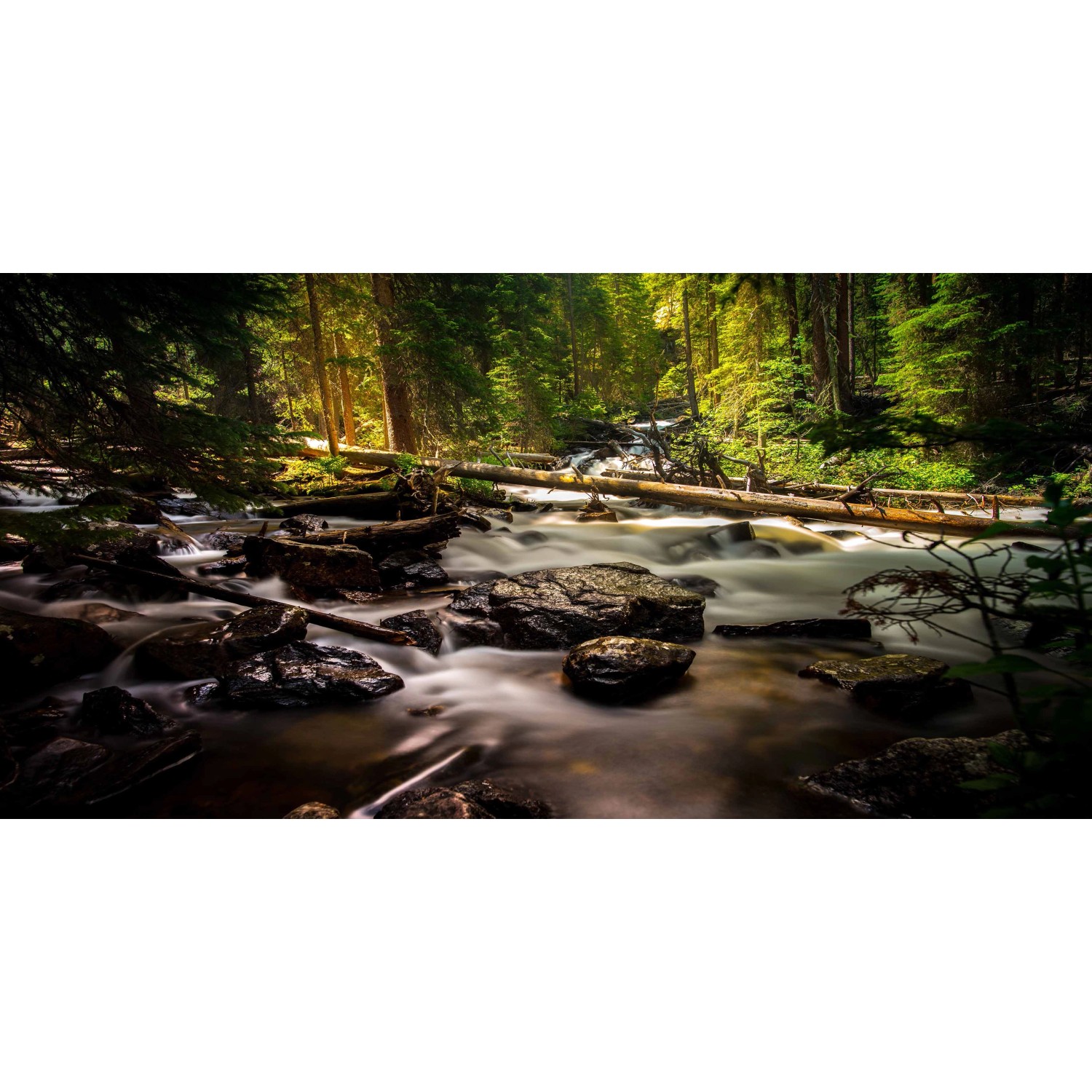 Bondecor Obraz, tištěné plátno Příroda 50 x 100 cm