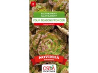 Aros Semena Salát hlávk. 4 Seasons Wonder (Lactuca capitata) Aros Semena Salát hlávk. 4 Seasons Wonder (Lactuca capitata)