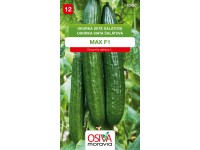 Semínka Okurka setá salátová Max F1 (Cucumis sativus L.)