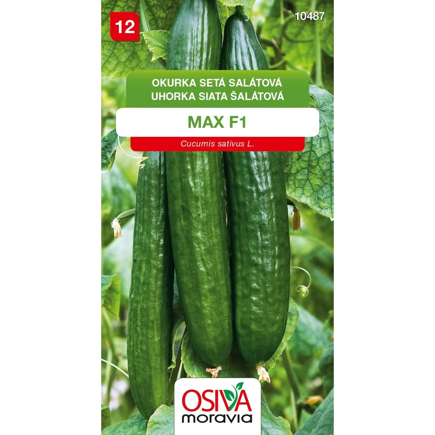 Semínka Okurka setá salátová Max F1 (Cucumis sativus L.)