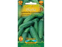 Gardenie Okurka nakládačka Everest F1