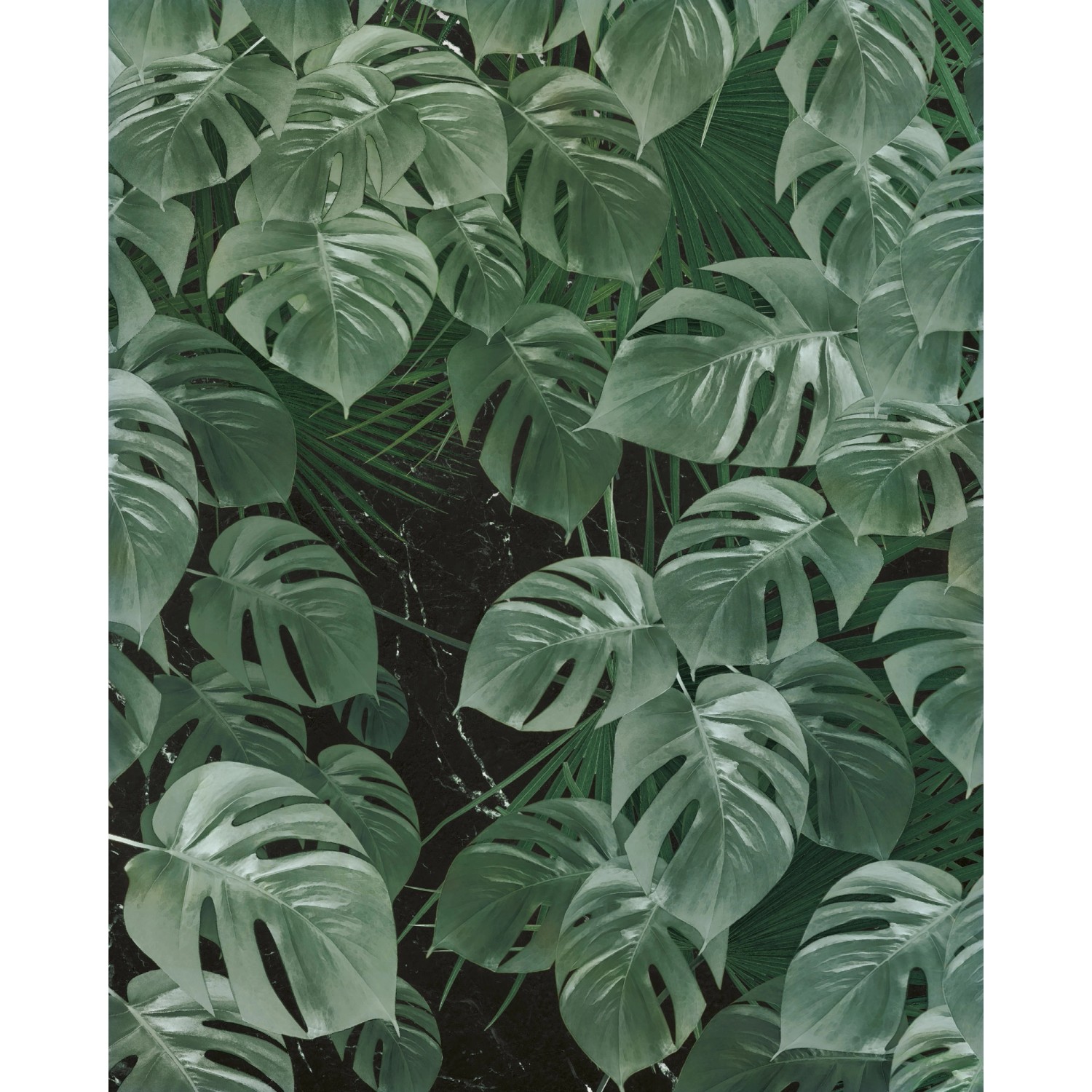 Komar Vliesová fototapeta Monstera on Marble 200 x 250 cm