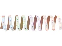 LED páska Smart Light s dálkovým ovládáním CCT & RGB