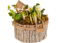 Aranžmá s různými květinami kvetoucími na jaře v dřevěné nádobě průměr květináče