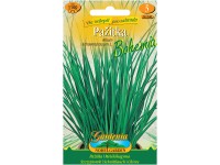 Gardenie Pažitka Bohemia Gardenie Pažitka Bohemia