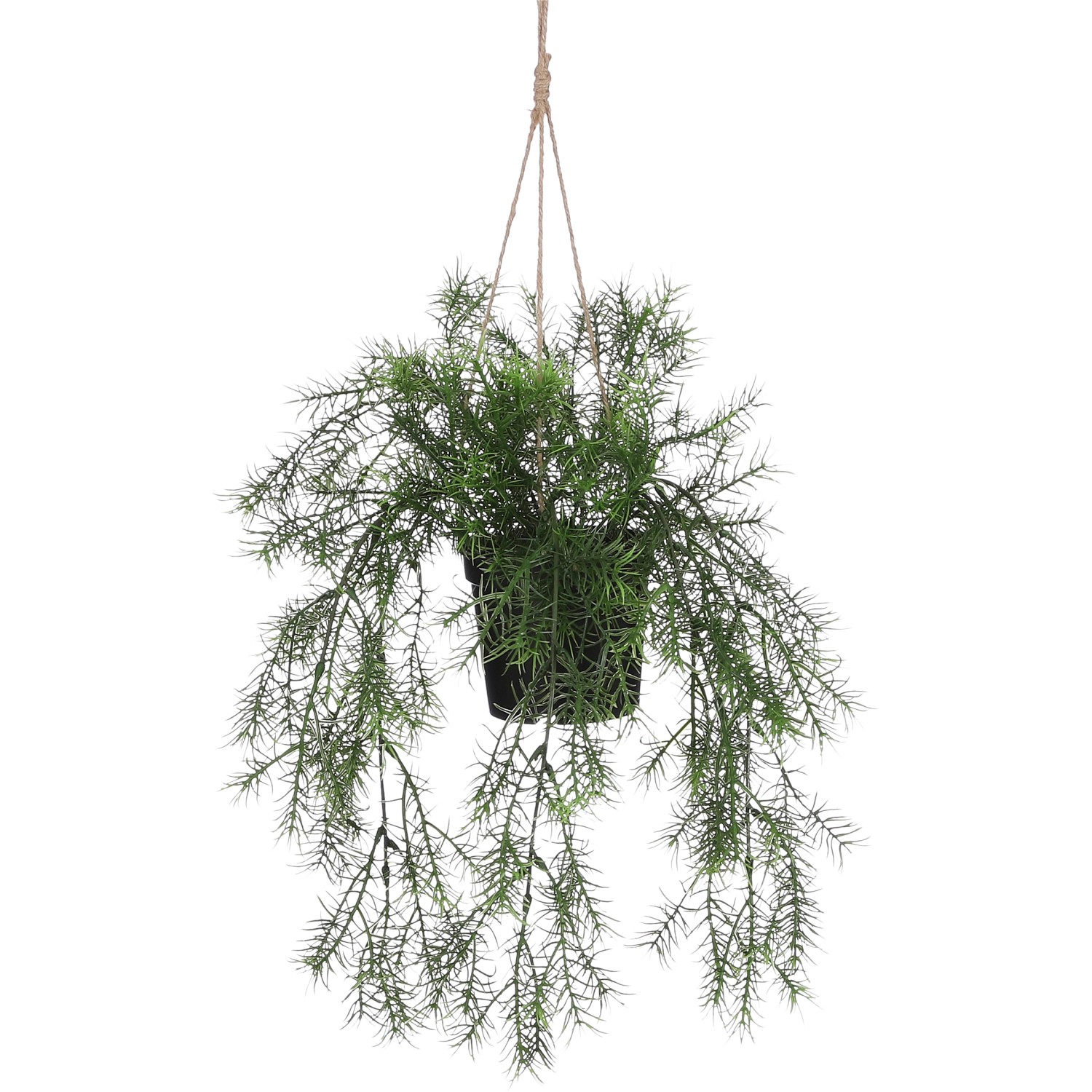 Mica Decorations Umělá rostlina Springeria v květináči, zelená, 40 x 20 cm