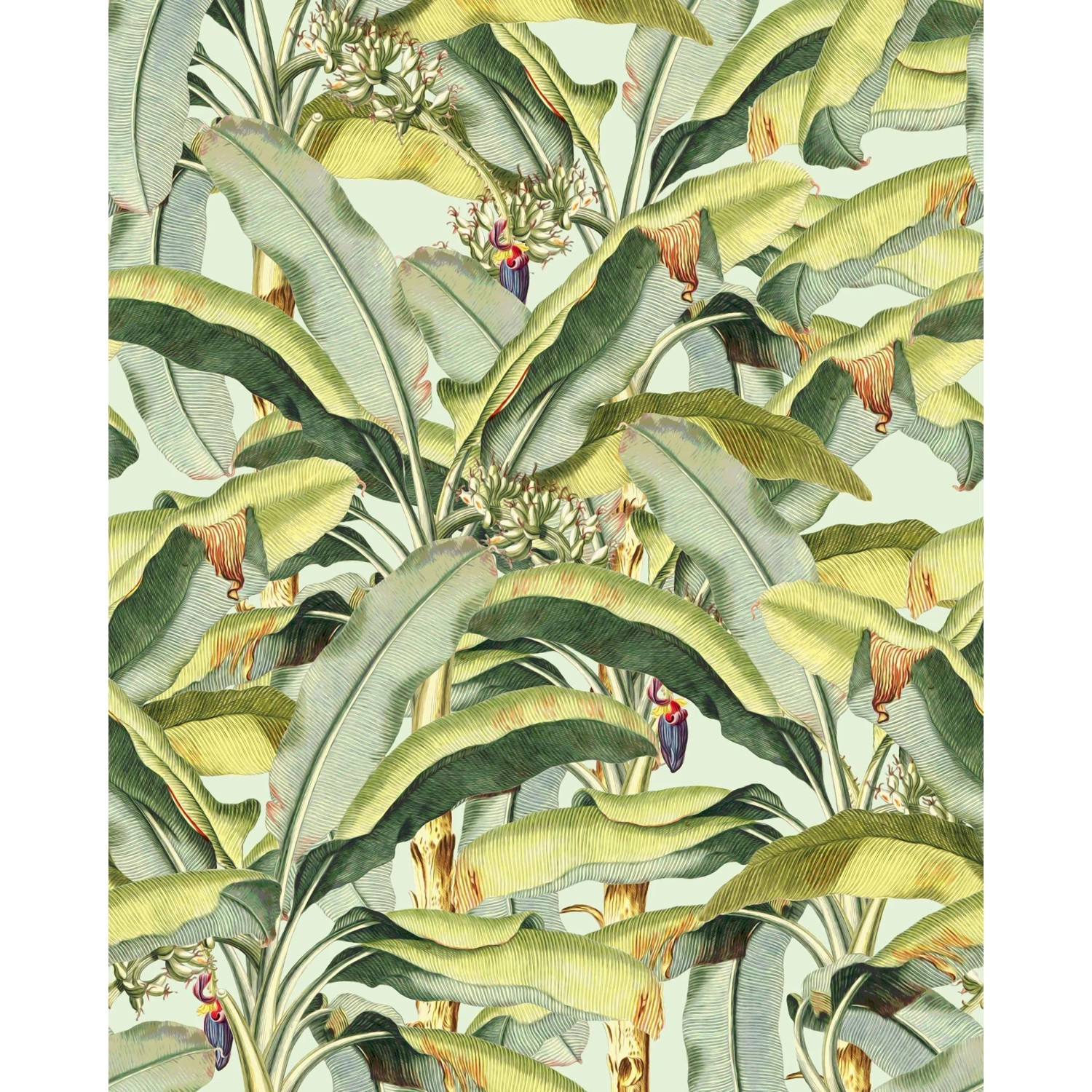 Komar Vliesová fototapeta Banana Grove 250 x 200 cm