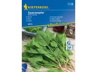 KIEPENKERL Šťovík (Rumex acetosa) víceletý KIEPENKERL Šťovík (Rumex acetosa) víceletý