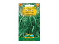 Gardenie Milička - okrasná tráva