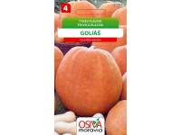 Semínka Tykev plazivá Goliáš (Cucurbita maxima)