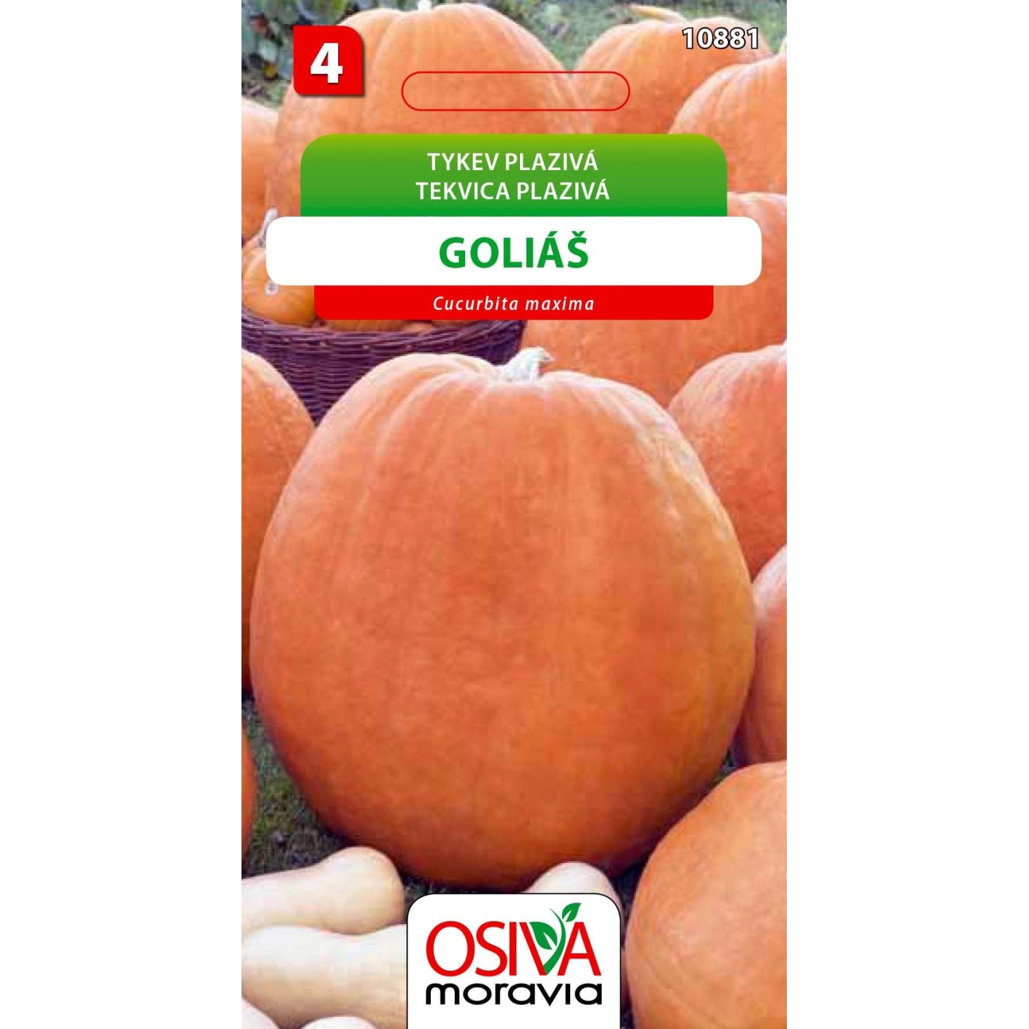 Semínka Tykev plazivá Goliáš (Cucurbita maxima)