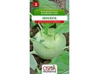 Semínka Kedluben bílý raný Morávia (Brassica oleracea var. gongylodes)