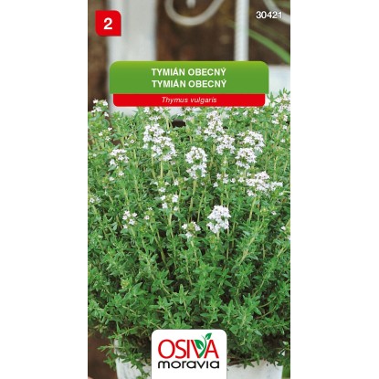 Semínka Tymián obecný (Thymus vulgaris)