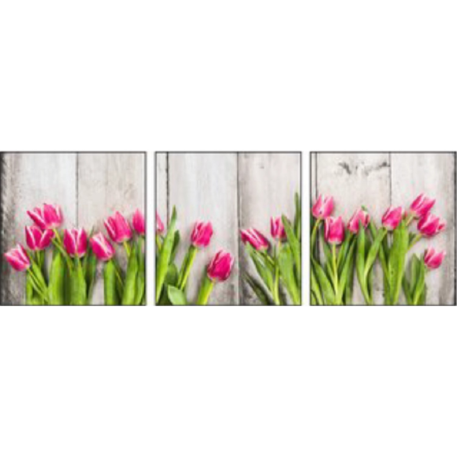 Bondecor 3dílná sada obrazů Flora 30 x 90 cm