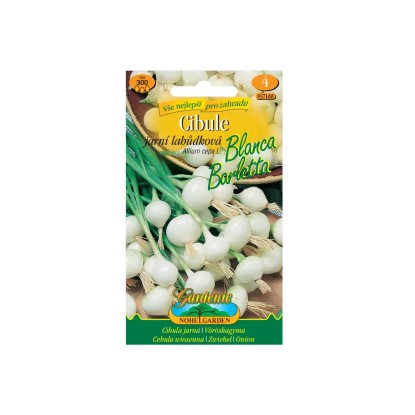 Gardenie Cibule jarní BLANCA BARLETTA, lahůdková bílá