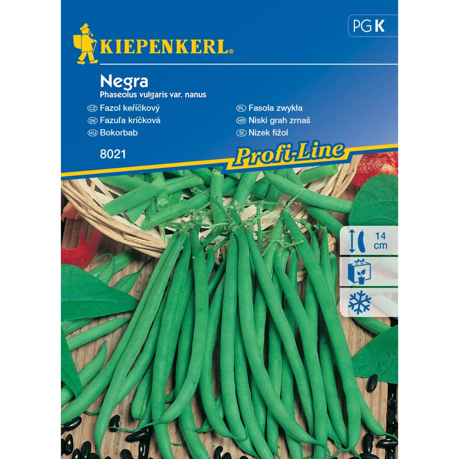 Kiepenkerl Semínka Fazol keříčkový Negra