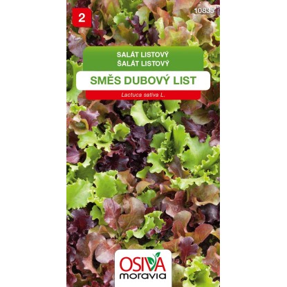Semínka Salát listový Směs dubový list (Lactuca sativa L.)